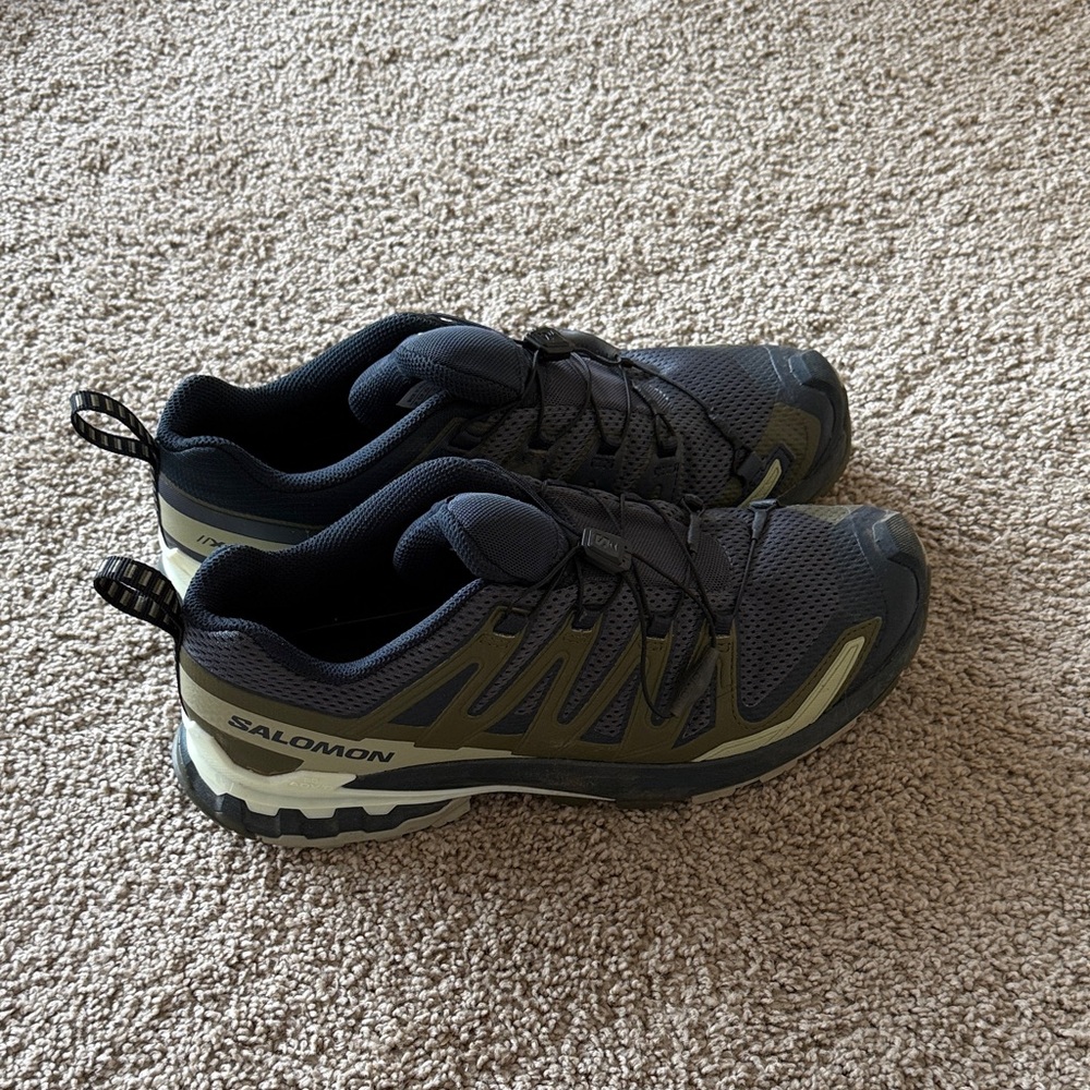 Salomon XA Pro 3D Hiking Shoes